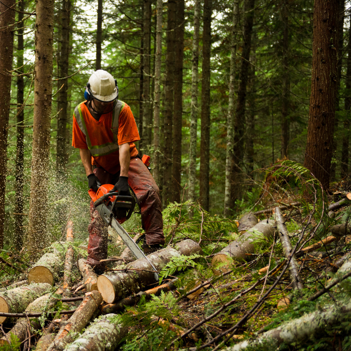 Secourisme en milieu de travail – avec volet forêt