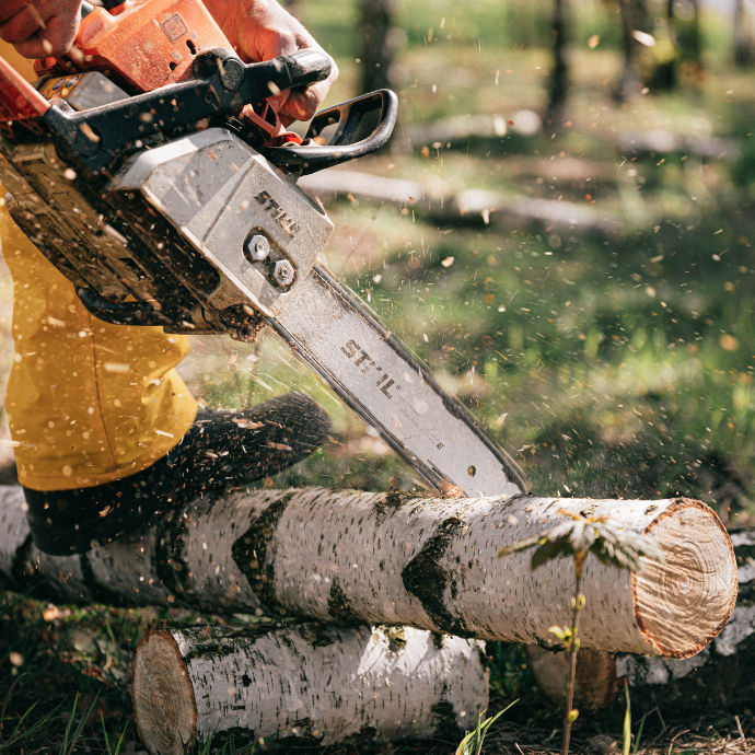 Formation Secourisme forêt (40h)