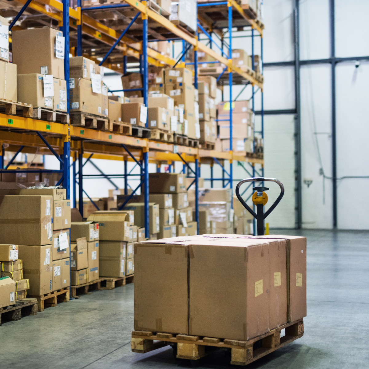 Formation Transpalette